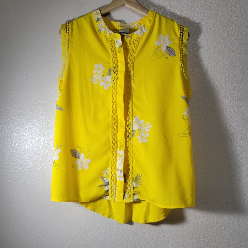 a.n.d e a w y Seveless  Button Down Top